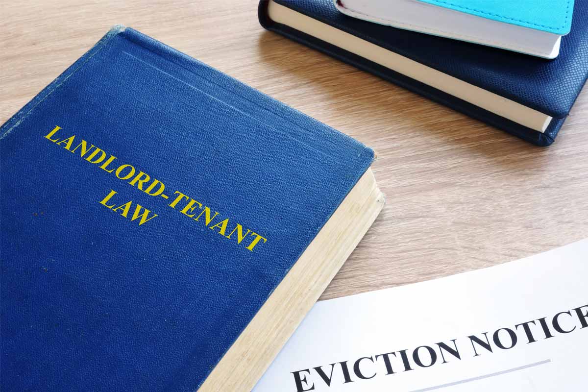 Step 7: Know Your Legal Rights and Options