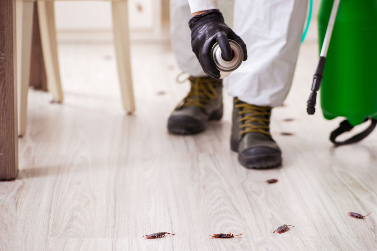 Bedbug-and-Pest-Protocol